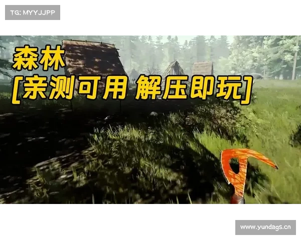 森林单机版：中文设置为核心